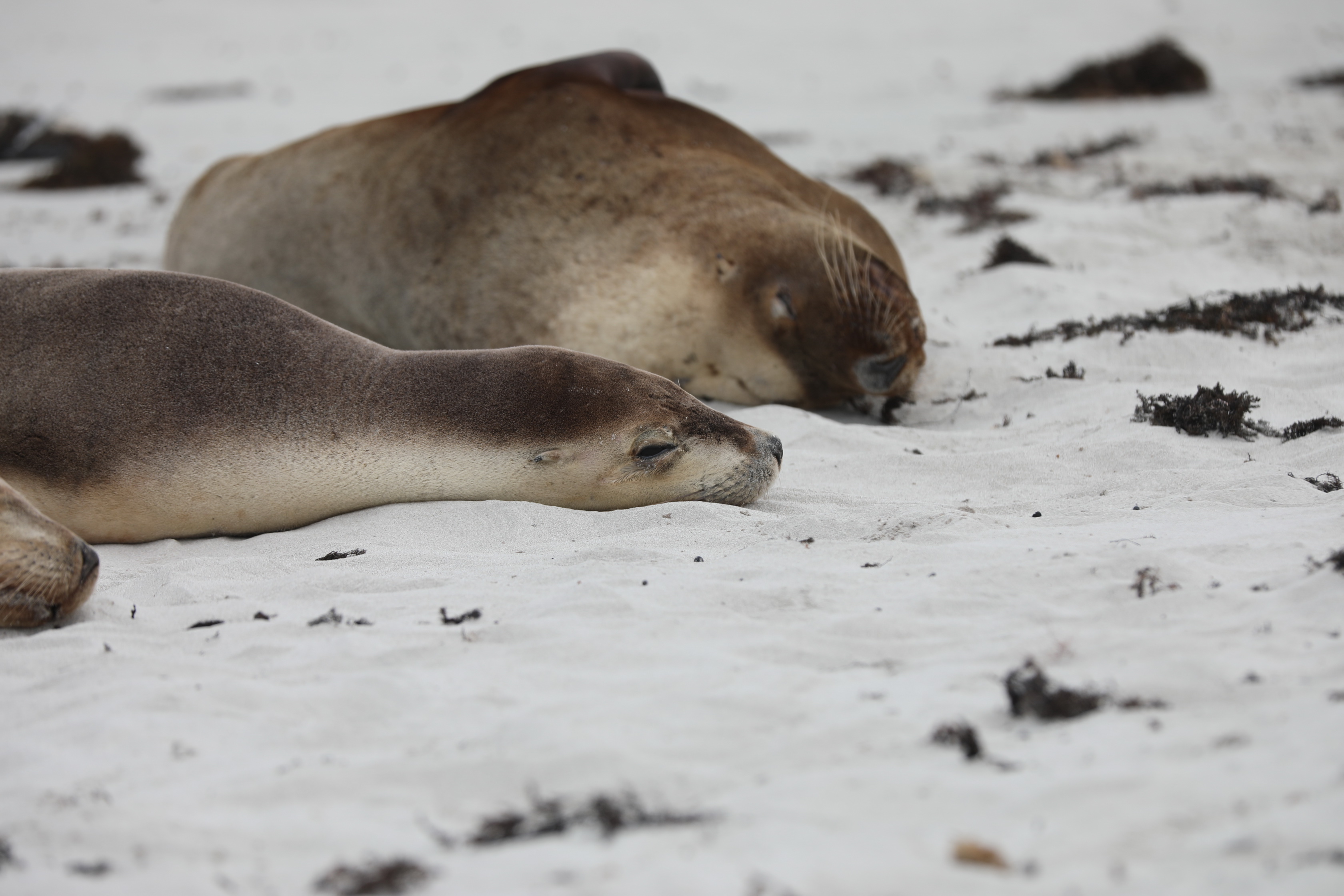 2019 09 29 12 40 33 Canon EOS 5D Mark IV 0023